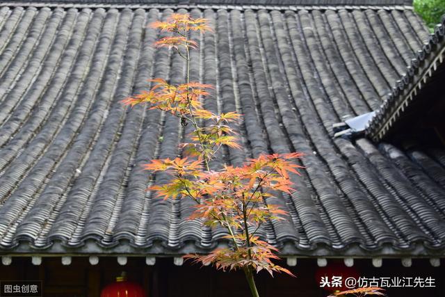 導(dǎo)讀：農(nóng)村蓋房用樹脂瓦適合嗎？聽完行家的分析，恍然大悟