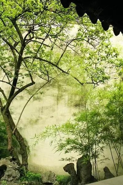 這樣的院子，只有中國(guó)人駕馭得了它！