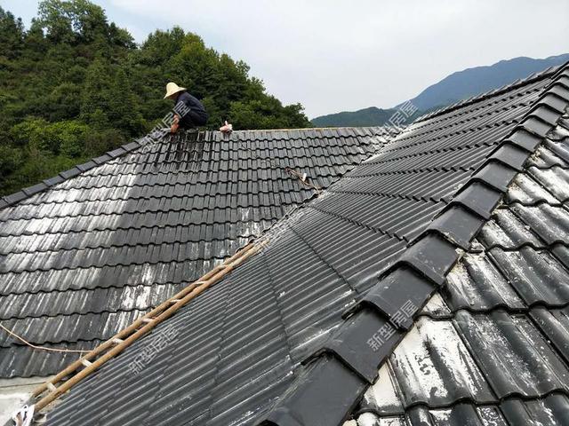 30元一平的樹脂瓦省錢又耐用？網(wǎng)友：吃飽沒事干，用一年就得換