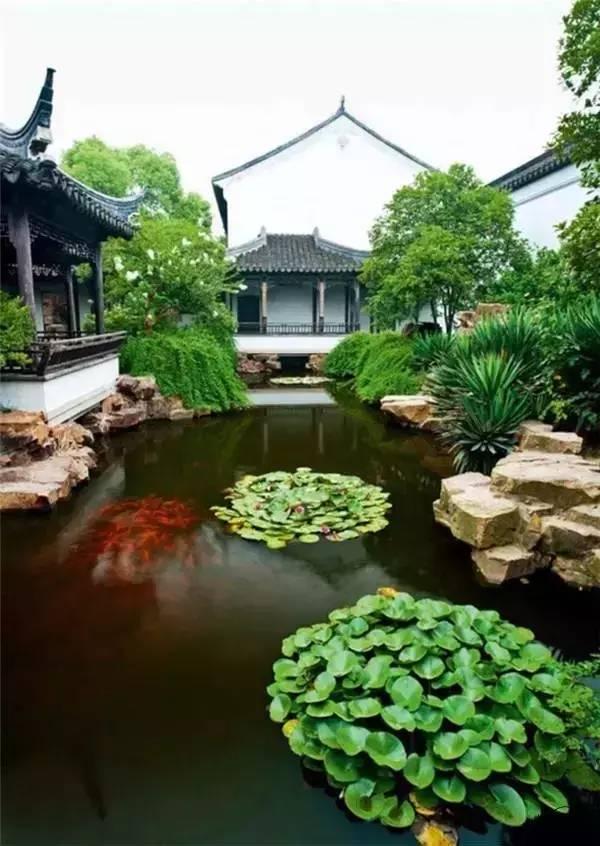 小院回廊，一步一景！
